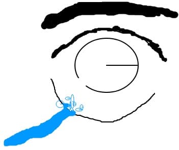 anime plangand