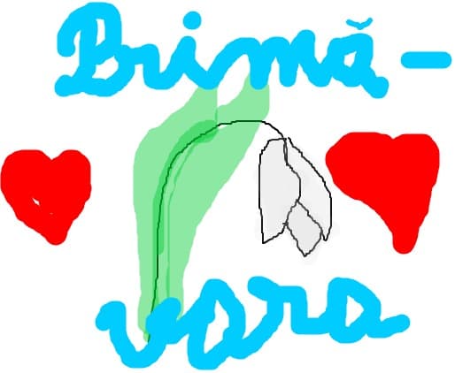 prima-vara