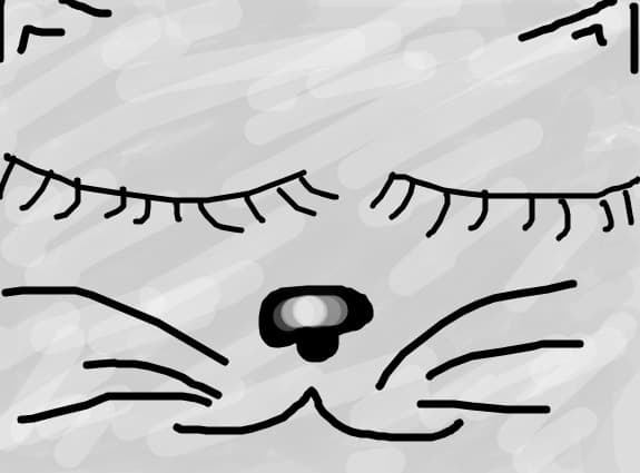 meaw