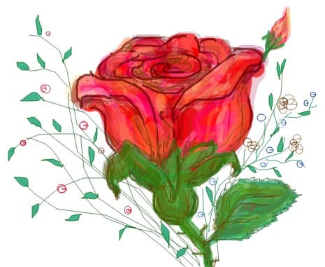 rose