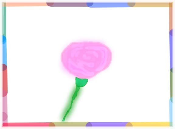 the pink rose