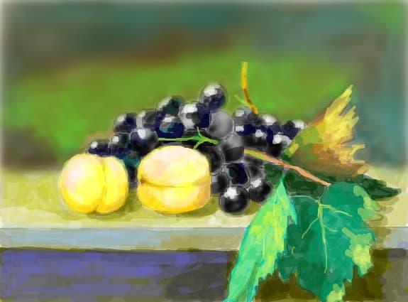 fructe