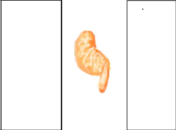 potgvfg
