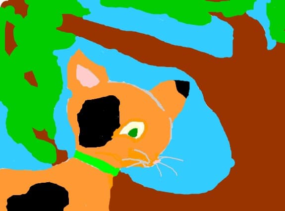 cat 12