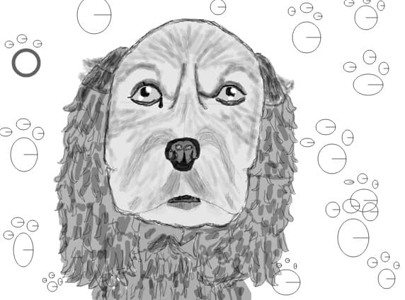 Desen 72966 continuat:cutzu