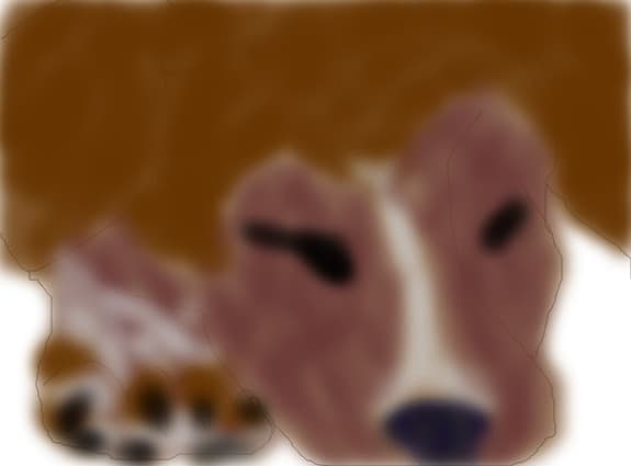 catzelush
