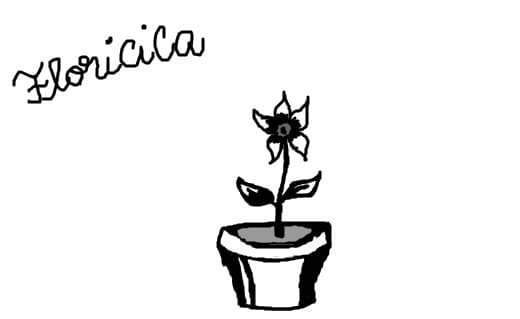floricica