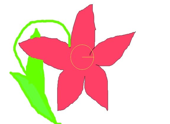 floriii