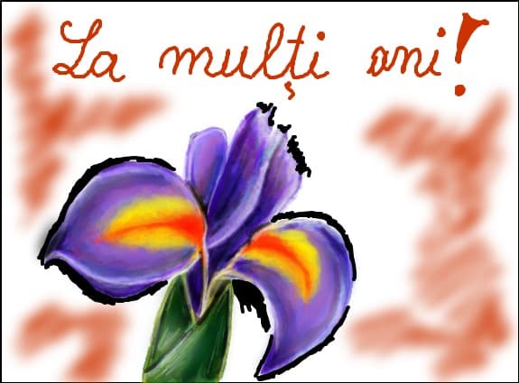 o floare,un gand bun si La Multi Ani! -scuze pt ca este vizibil cu cateva ore mai devreme...;-)