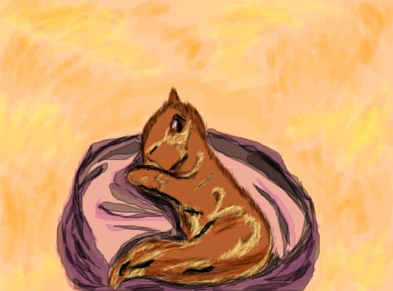 I love cat