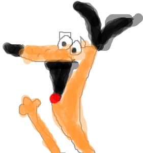 2stupid dog