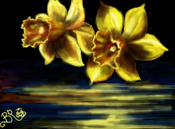 Daffodils
