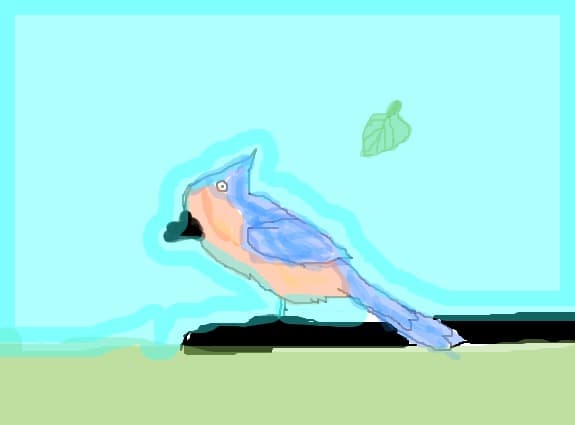 bird