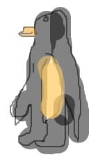 pinguin
