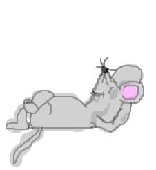 sobolan