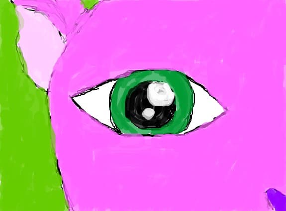 pink a cat