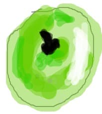 apple