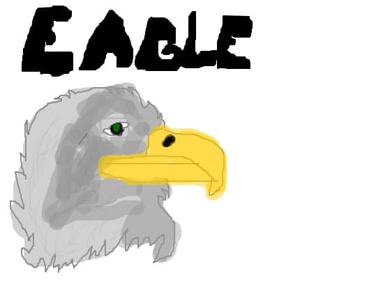 eagle