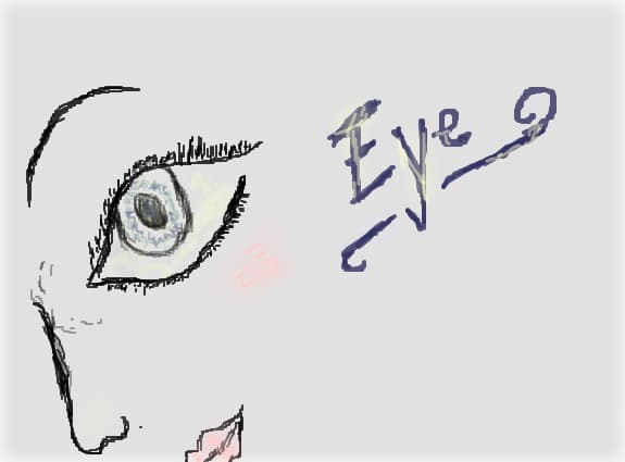 eye
