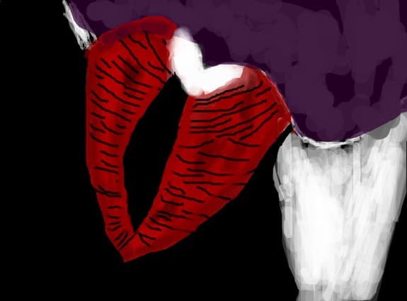 lips
