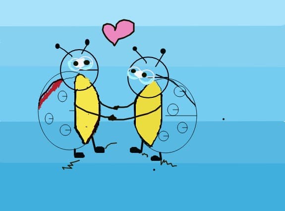 ladybirds
