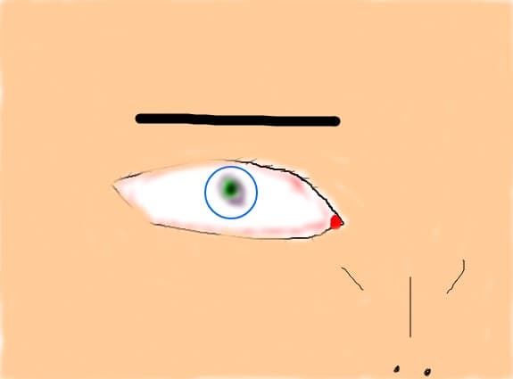 un ochi