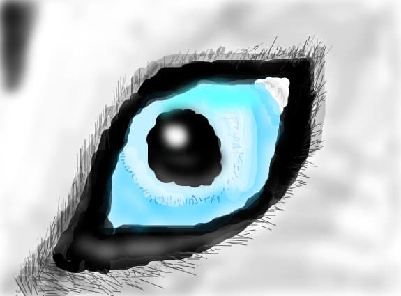 Husky Eye