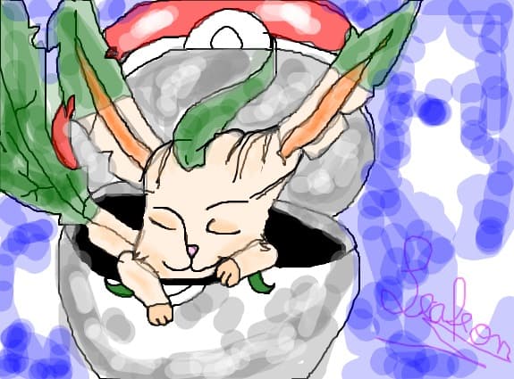 pokemon