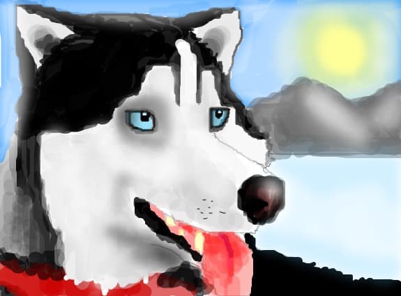 Husky Siberian