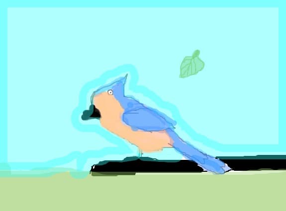 bird