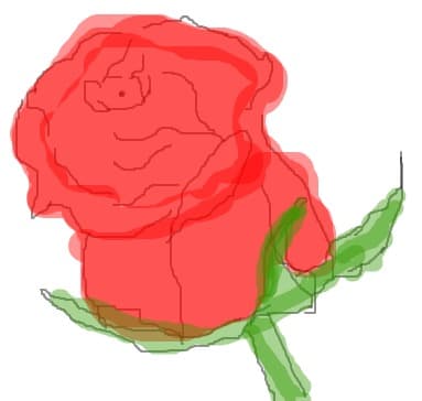 rose