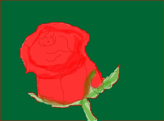 rose