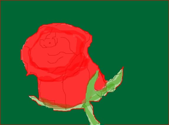 rose