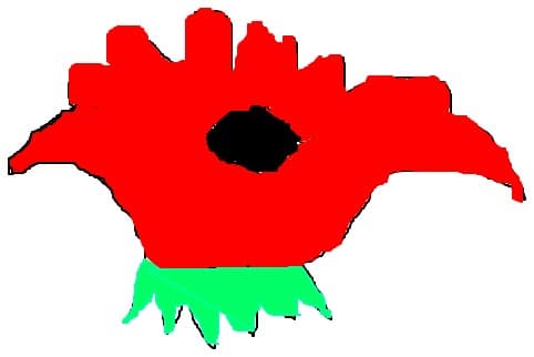 O floare