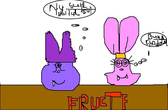 chowder
