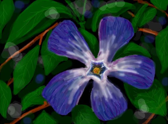Desen 76597 continuat:...floricica...