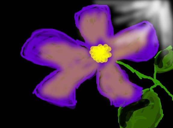 floricica ..