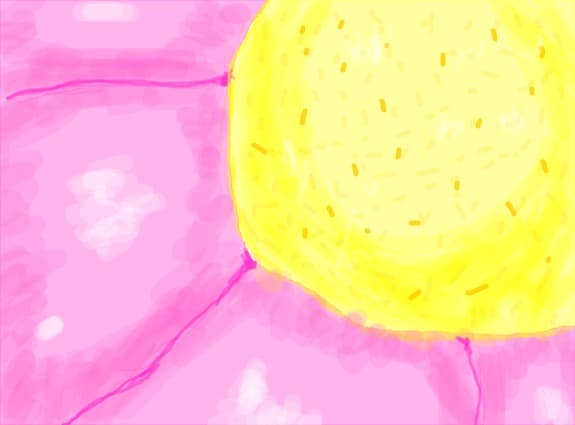 o floare