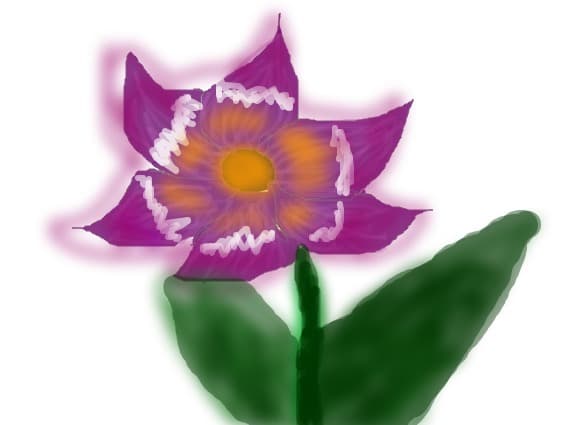 o floare