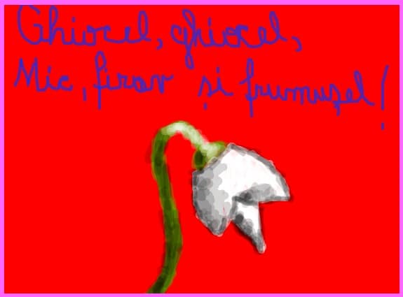 ghiocel , frumusel