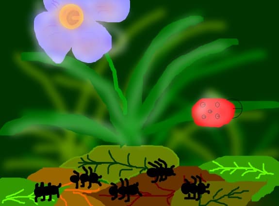 Insectele