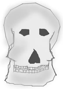 skull