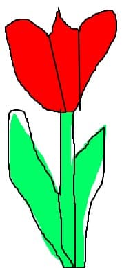 floricica
