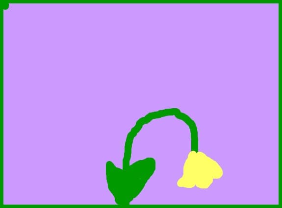 flori