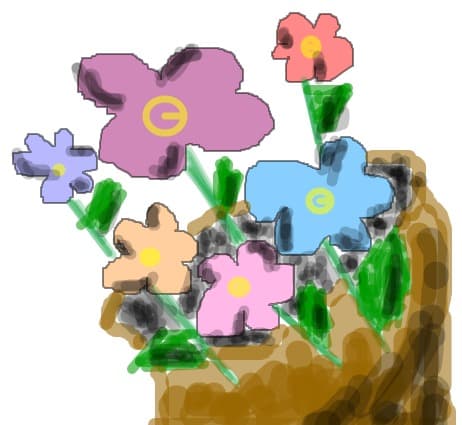 Flori