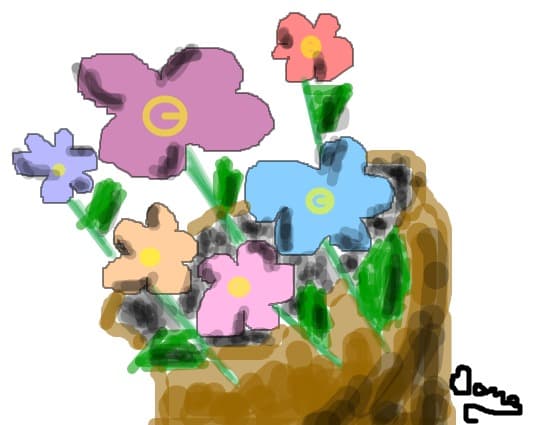 Flori