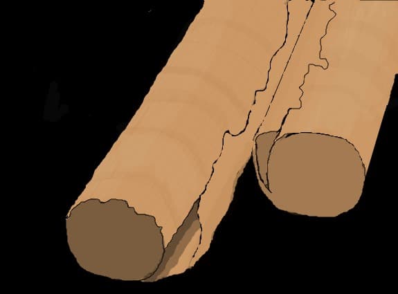 papyrus