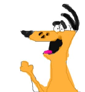 dog
