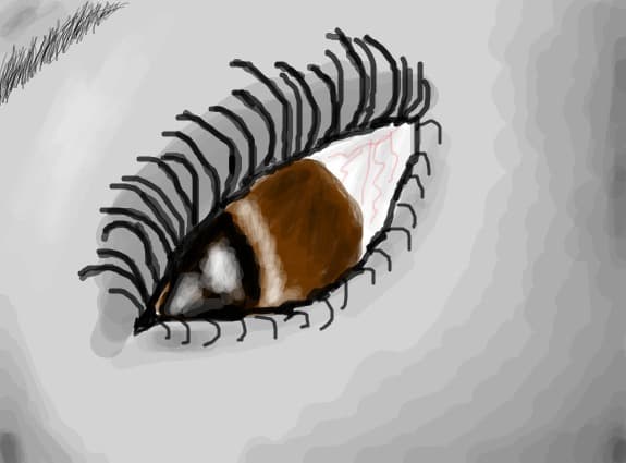 brown eye