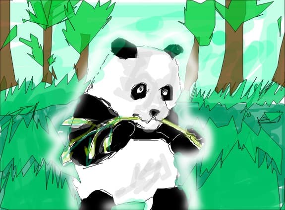 panda